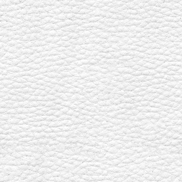 白い革のテキスタイルベクター - 目に見える溝と凸を持つ高度にテクスチャー素材 - 不均一な平らな柔らかい表面 - ソファやアームチェアのための室内装飾材料 - 小さな凸細胞で構成される� - leather点のイラスト素材／クリップアート素材／マンガ素材／アイコン素材