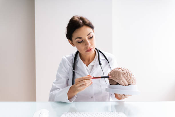 istock Brain Surgeon Or Neurologist Doctor Explaining 1249379738