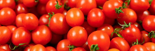istock a pile of vegetables red mini tomatoes as background. banner 1249380441