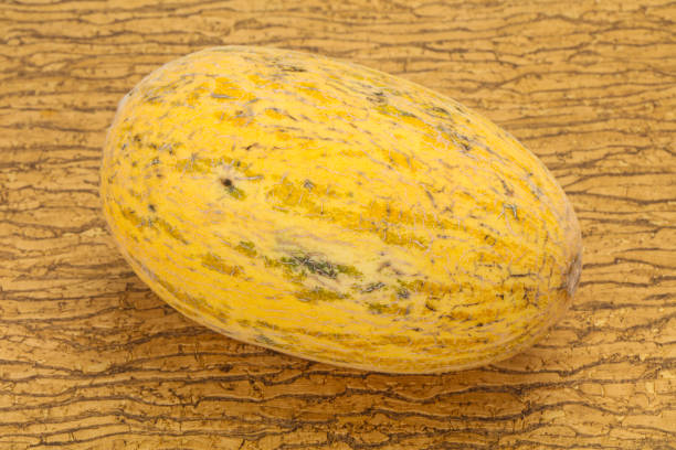 istock Sweet tasty honey ripe melon 1249386802