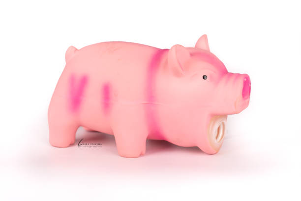 istock Pink toy pig with a on white 1249390681