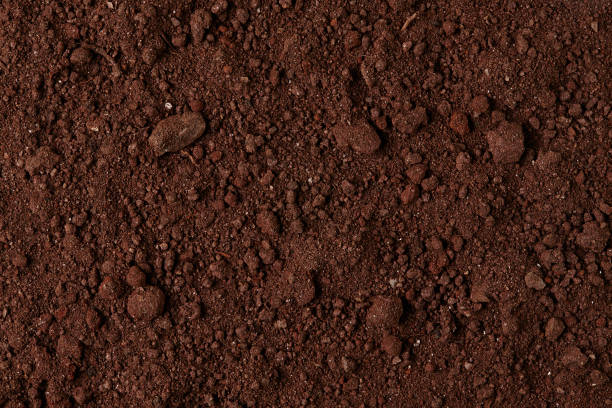 istock Soil Texture. Pile of Dirt. 1249394903