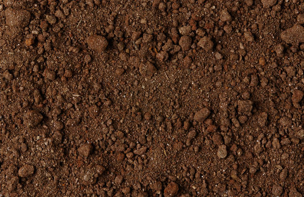 Soil Texture. Pile of Dirt.