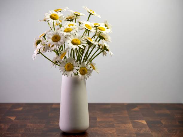 istock White Vase Full of Fresh Cut Daisies 1249400326