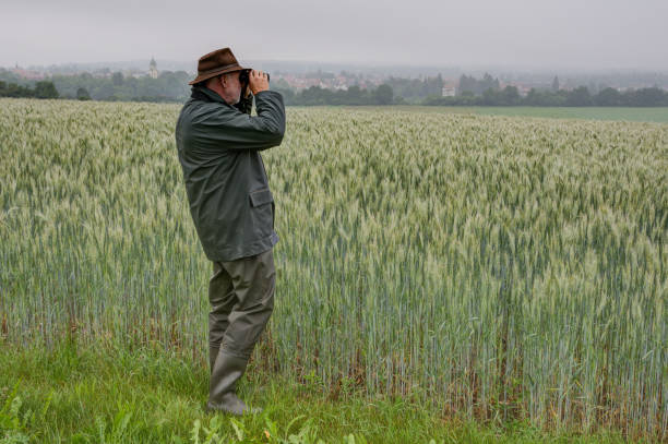 istock A hunter stands by a wheat field and observes his hunting area through binoculars on a rainy, foggy morning in June. 1249400557