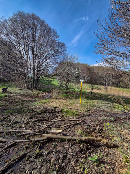 istock Spring landscape of Vitosha Mountain, Bulgaria 1249402033