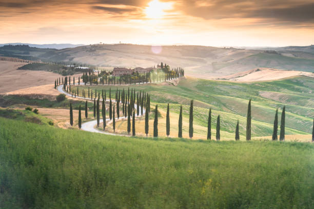 scenic tuscany landscape with rolling hills and valleys in golden morning light san casciano dei bagni in val d'orcia, italy - val dorcia imagens e fotografias de stock