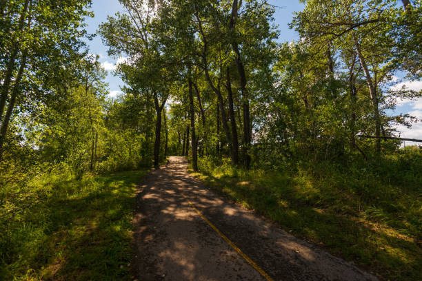 istock Calgary surroundings views, Canada 1249412665