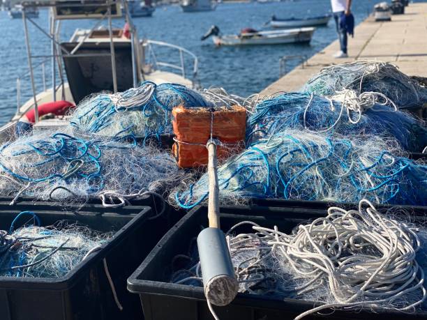 istock Fish nets in boxes ready for fishing 1249414383