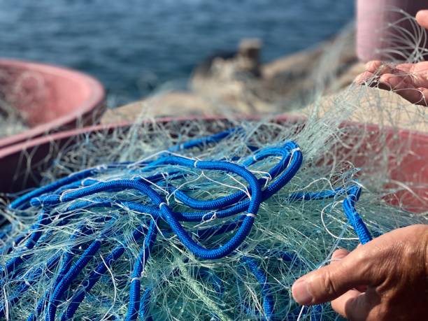 istock Fish nets in boxes ready for fishing 1249414985