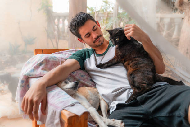 istock young man interacts with his pets in the garden under a mosquito net 1249414996