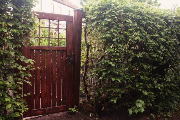 istock Garden door 1249419467