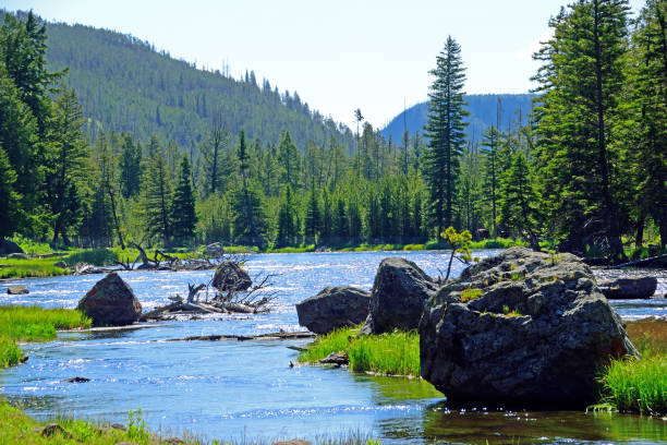istock Beautiful, tranquil Madison river basin, Yellow Stone National Park 1249420309