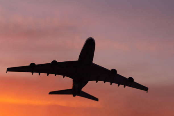istock Black silhouette of plane on sunset background 1249421642