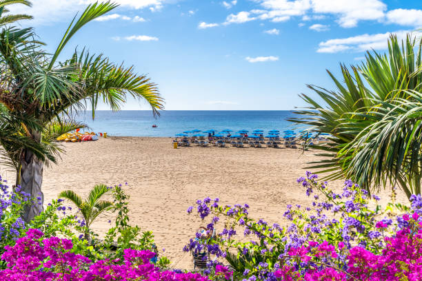 пейзаж с пляжем пуэрто-дель-кармен - lanzarote bay canary islands beach стоковые фото и изображения