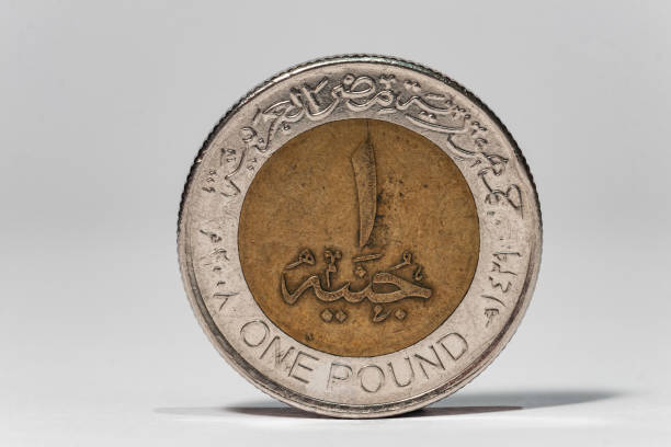 istock Egyptian Pound Coin Tails 1249424654