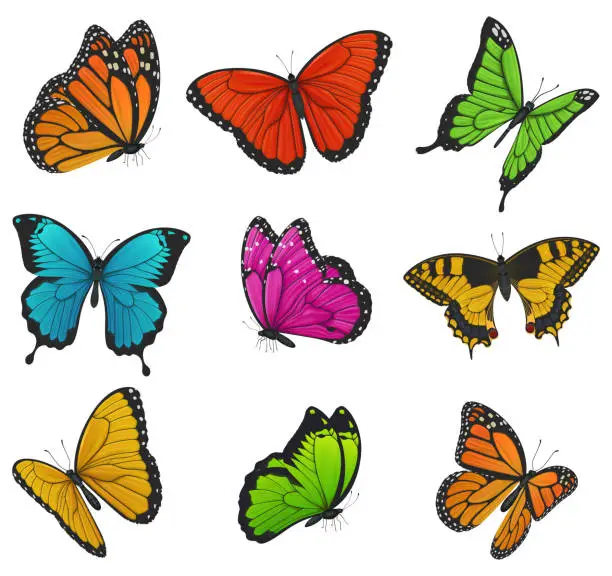 Vector illustration of Big collection of colorful butterflies. Vector illustration
