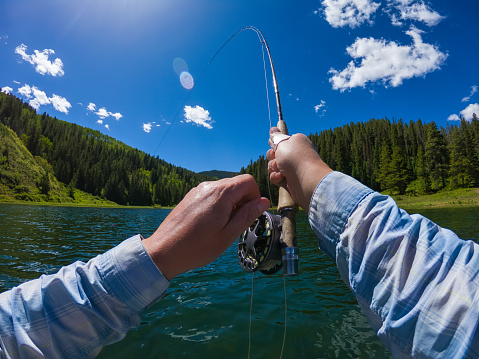 Fly Fishing Casting and Catching Fish from Boat - POV view of fish being caught with bent rod. Sunny day on scenic mountain lake in summer. Sylvan Lake, Eagle, Colorado USA.