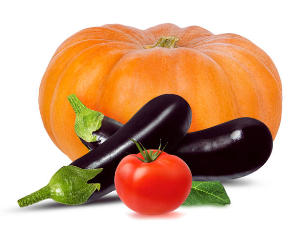Fresh eggplants, pumpkin  and tomato with leaves and flower isolated on white background  with clipping path