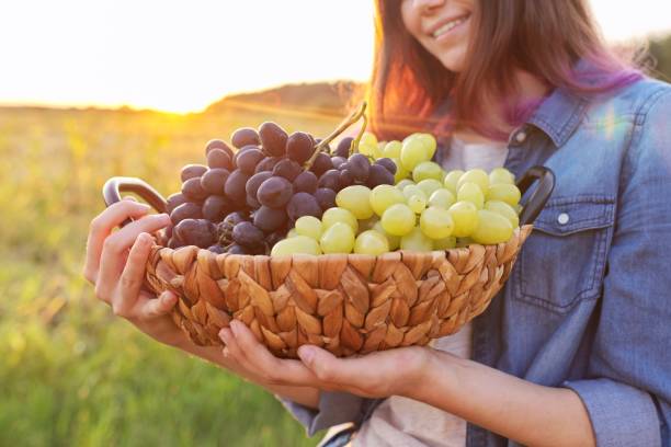 青と緑のブドウの収穫のバスケットを持つ若い女性 - grape green red purple ストックフォトと画像