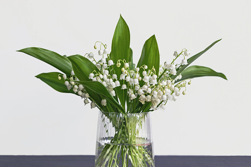 Stock photo showing a hotel lobby design centrepiece of a circular, glass table covering in a variety of glass vases filled with white lilies.