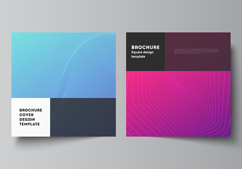 2 Square Design The Minimal Vector Illustration Of Editable Layout Of Two Square Format ...