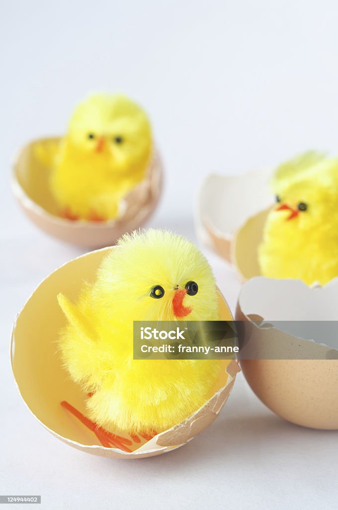 Giocattolo Chicks Uscire dall'uovo - Foto stock royalty-free di Animale