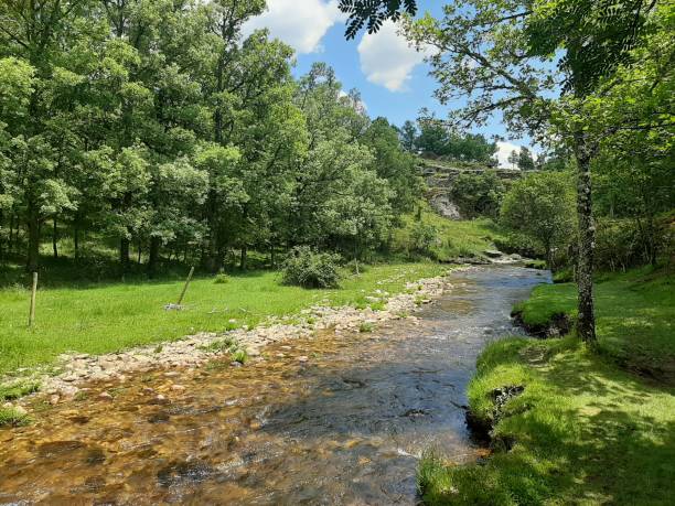 istock Jarama river in La Hiruela 1249446354