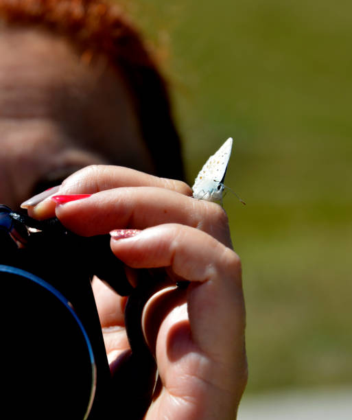 istock Butterfly on the photographer's finger 1249450404