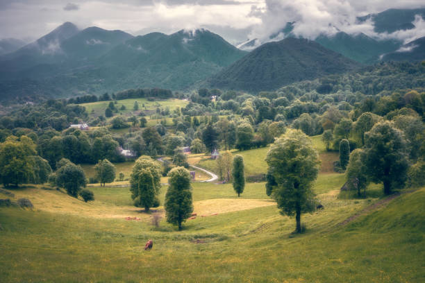 landscape with mountains and green grass in Ariege Pyrenees