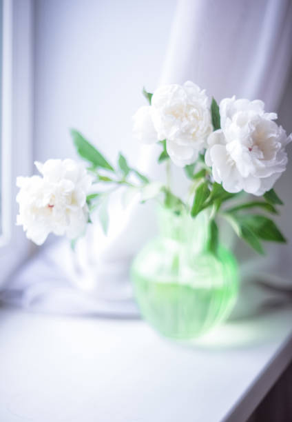 istock Three white peonies in a green vase on a light blurry background (selective focus) 1249454368