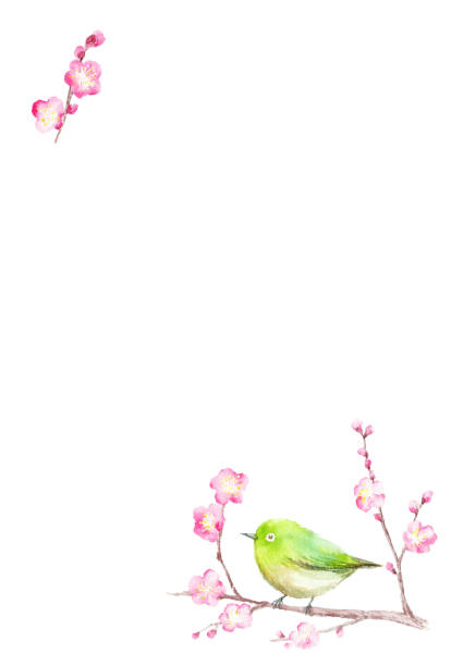 istock Postcard template of cherry tree and Japanese white-eye. 1249454498
