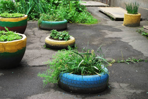 istock Flowerbed with decorative plants on the street 1249454618