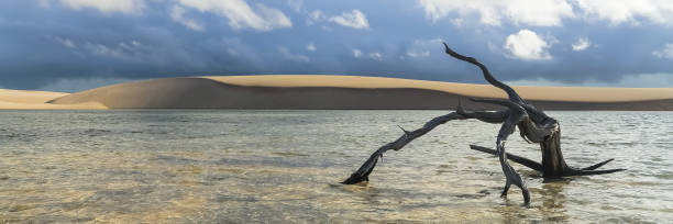 istock Lencois Maranhenses, National Park, Maranhao. Web banner in panoramic view. 1249454902