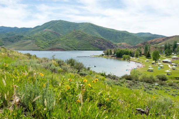 istock Summer Fun on a Mountain Lake in a State Park with Blooming Wildflowers 1249456437