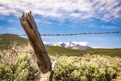A weathered post supports barbed wire forming a fence on the border of the Rio Grande del Norte National Monument near Taos, New Mexico.