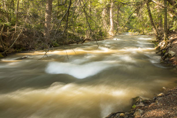 istock Mountain Stream in Northern New Mexico 1249458845