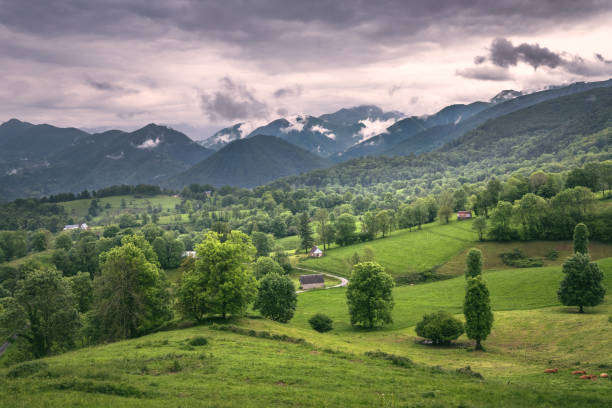 istock landscape with mountains and green grass in Ariege Pyrenees 1249459553