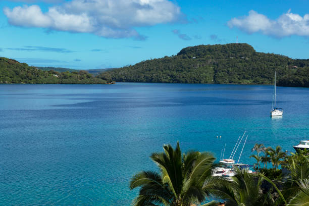 Seaboat and palm trees at harbour.