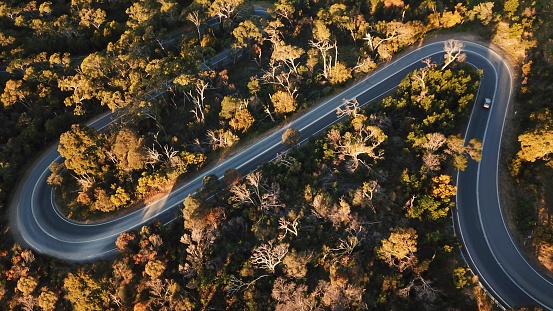 Aerial view of a winding road in the Australian forest