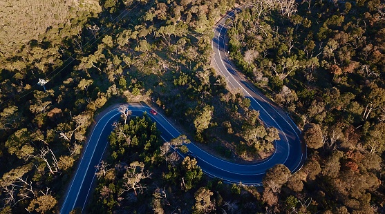 Aerial view of a winding road in the Australian forest