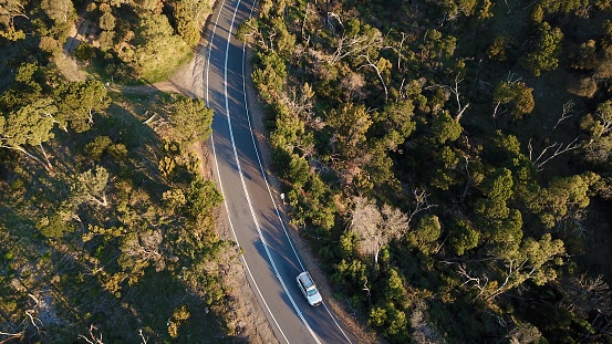 Aerial view of a winding road in the Australian forest