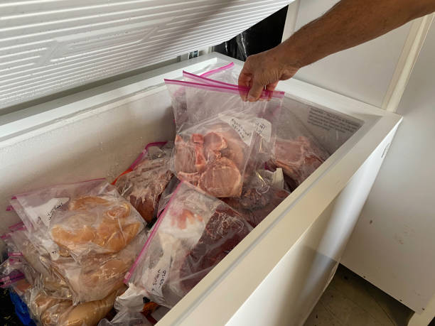 Extra freezer storage for food Freezer in a home for portioned frozen meats and meals so food can be purchased in bulk and stored during the pandemic. freezer photos stock pictures, royalty-free photos & images