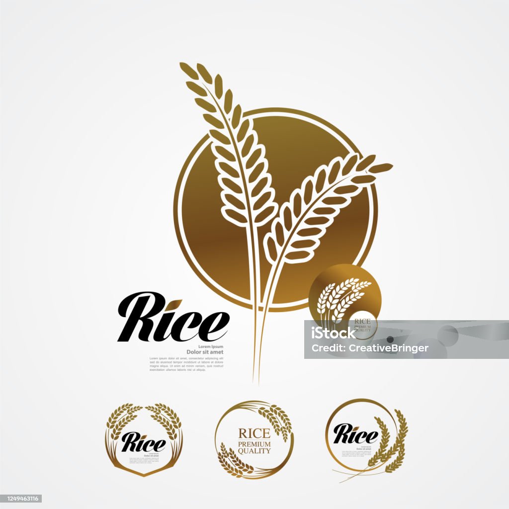 Premium Rice Vector Premium Rice Great Quality Design Concept Vector Stock Illustration ...