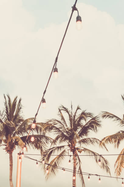 istock Trendy outdoor bulb garlands in tropical setting 1249465849