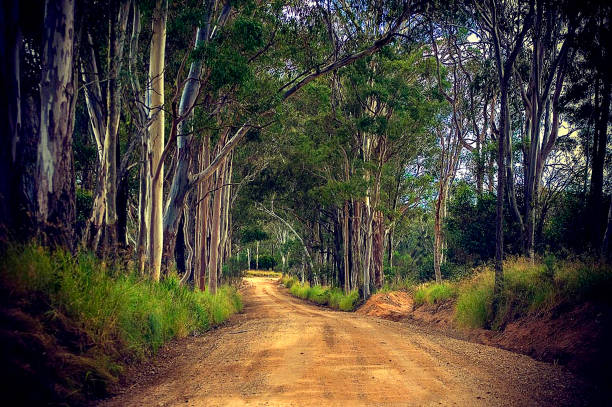 istock Dirt Road in rural Australia 1249467865