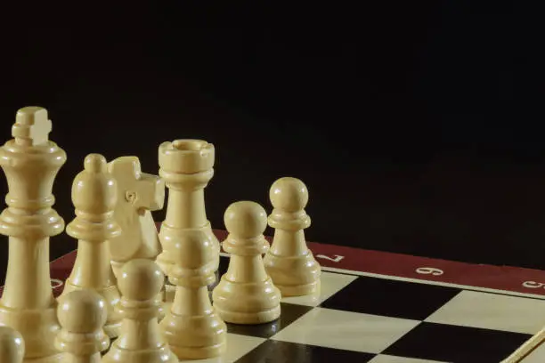 Photo of On the left side of the chessboard are different white chess pieces of wood. Behind the figure is a black background.