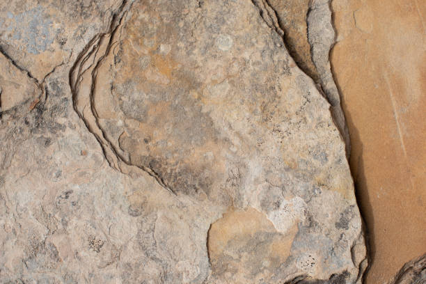 istock Abstract Sandstone Detail 1249471143