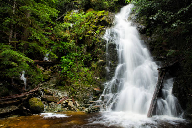 istock Sawblade Falls, Coquitlam, BC, Canada 1249475488