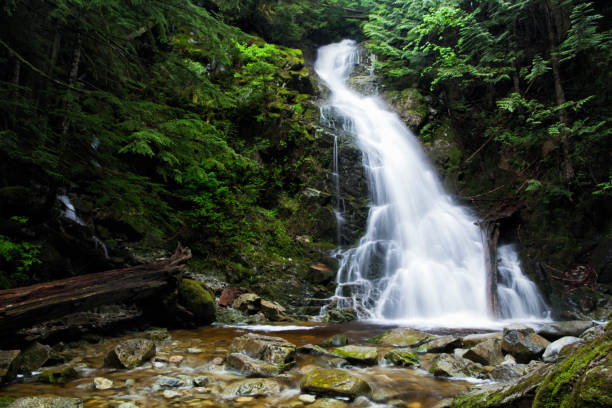 istock Sawblade Falls, Coquitlam, BC, Canada 1249475561